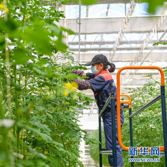 国庆70周年联欢活动将呈现7大看点